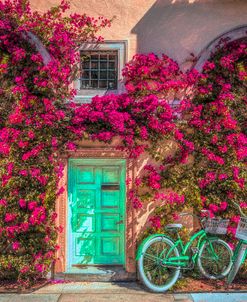 Bicycles in the Sun Painting in the Garden