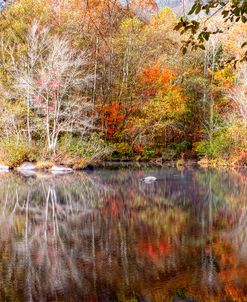 Hiwassee Lake Gorge