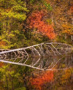 Quiet Waters in Autumn