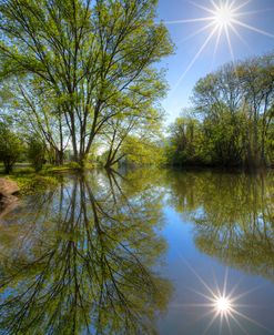 Reflected Star