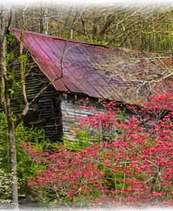 Barn in Dogwoods