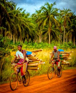 Bicycling to Market in HDR Detail