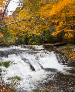 Flowing into Autumn