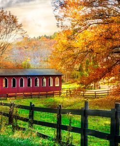 Country Red in Autumn