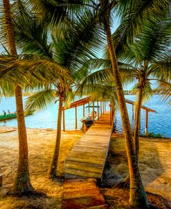 Island Dock Under the Palms in HDR Detail