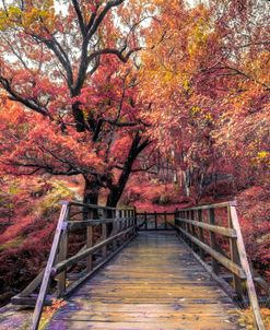 The Bridge to Ben Nevis in Autumn