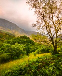 The Trail to Ben Nevis Painting