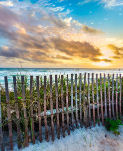 Dune Fences at the Sea