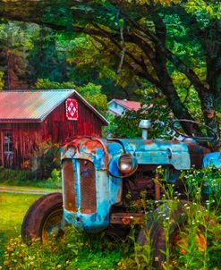 Colors At The Farm