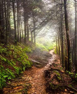 The Rocky Appalachian Trail