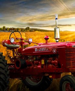Red Tractor in Sunset Gold