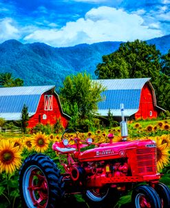 The Colors of Country in HDR Detail