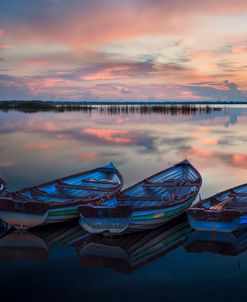 Four Old Boats Side by Side