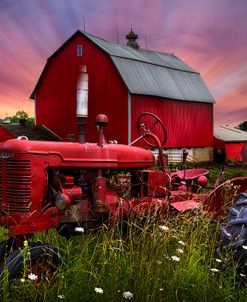 Reds at Sunset