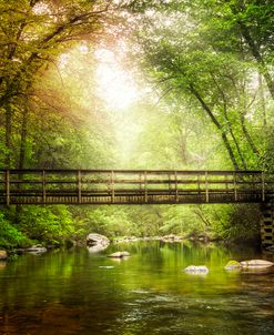 Enchanted Bridge in the Forest