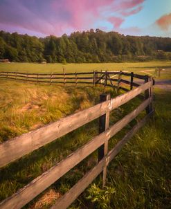 Fences at Sunrise