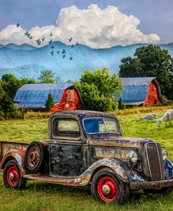 Summertime Farm in Colorful HDR Detail