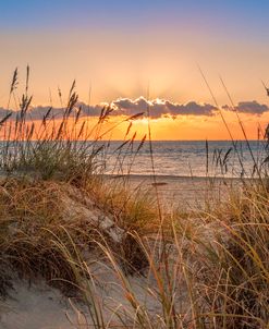 Glowing in the Dunes