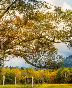 Country Mountain Lane at Cades Cove