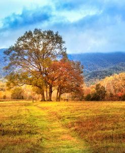 Trail in Autumn at Cades Cove