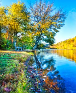 Blue Sky in Autumn