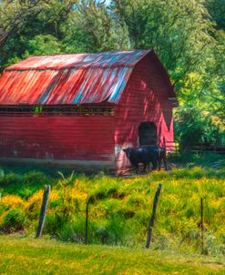 Cows in the Country Watercolors Painting