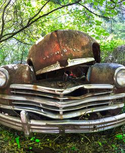 Old Rusty 1949 Plymouth