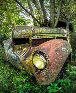 One with Nature Vintage Truck