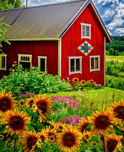 Red Barn in Summer Sunflowers
