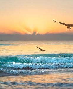Soaring in the Morning