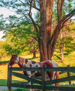 Spring Morning at the Fence Watercolor Painting