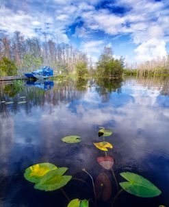 Clouds in the Water