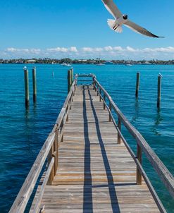 Blue Sky Flight