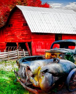 Vintage in the Pasture
