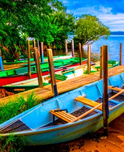 Rowboats at the Dock