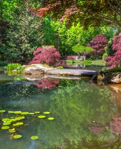 The Pond at Gibbs Garden
