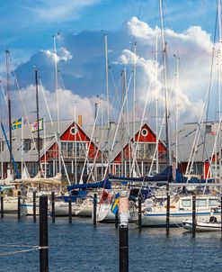 White Sailboats at the Harbor