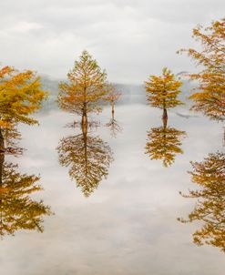 Floating into Autumn