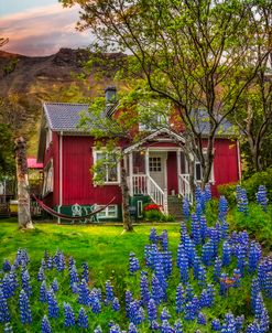 Little Red Cottage