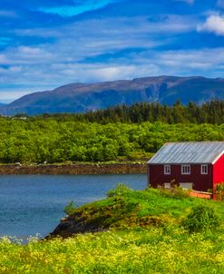 Cottage in the Valley