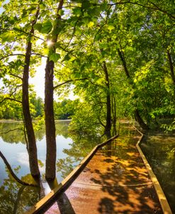 A Walk Along the River