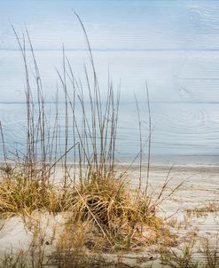 Catching the Salty Breeze