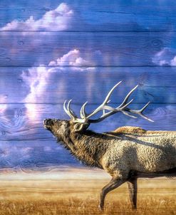 Majestic Elk In Wood Textures