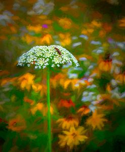 Queen Anne’s Lace Painting
