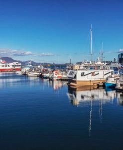 Ships at the Harbor in Reykjavik