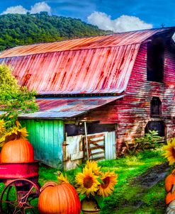 Pumpkins in the Sunflowers