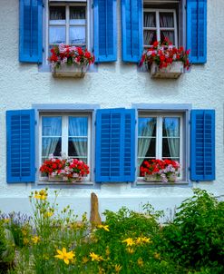 The Blue Shutters