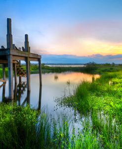 The Dock