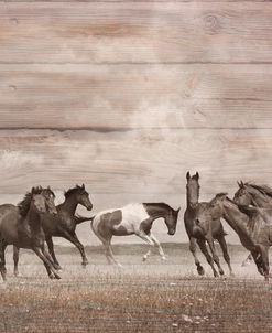 Wild Horses in Sepia in Wood Textures