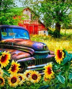 Rust in the Sunflowers